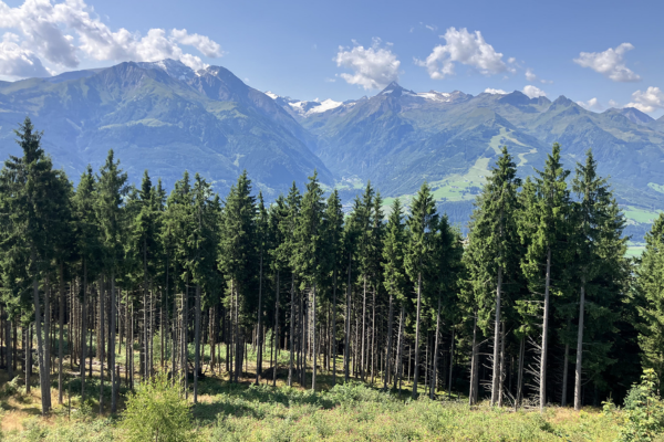 Design-ohne-Titel-28