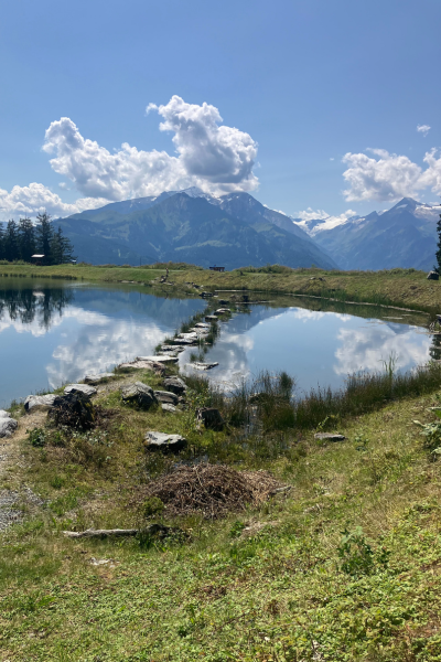 Design-ohne-Titel-33