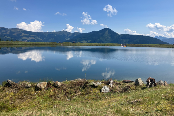 Design-ohne-Titel-35